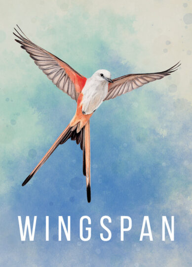 Wingspan