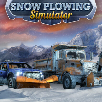 SNOW PLOWING SIMULATOR