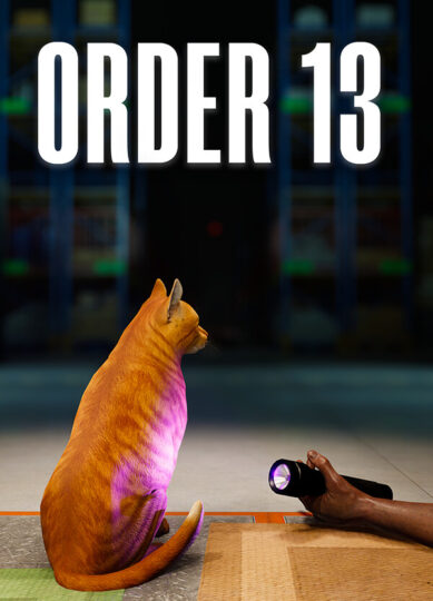 ORDER 13 Free Download